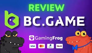 Understanding BC Game Withdrawal A Comprehensive Guide -238773811 Understanding BC Game Withdrawal A Comprehensive Guide -238773811